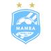 313 Mamba FC 313 c46885aa-c025-4f81-8d18-c5222a6ff6a0.jpeg 2351